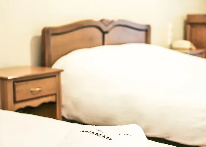 Anamar Pilio Hotel Volos